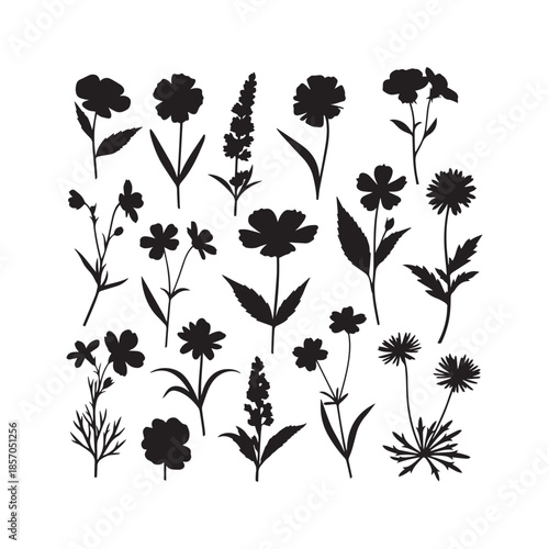 Wildflowers Silhouettes Collection