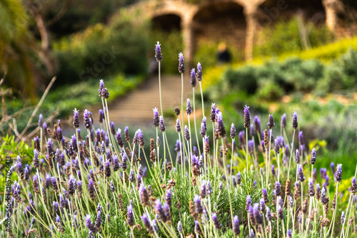 Jardins do Parque Guell em Barcelona