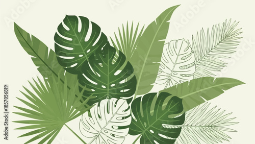 green fern leaves