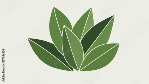 green leaves isolated on white