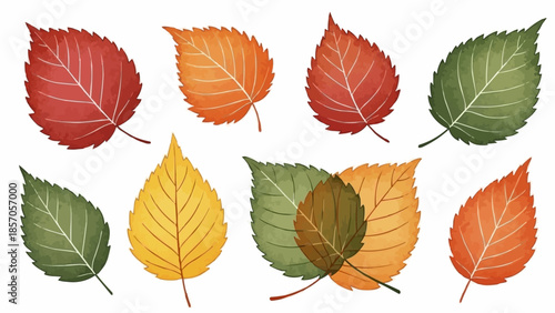 set of autumn leaves