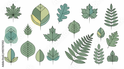 collection of green leaves