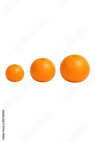Oranges in Different Sizes – Transparent Background