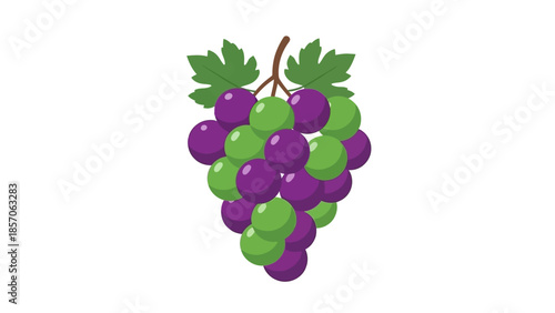 Purple and Green Grapes Bunch Illustration with Leaves