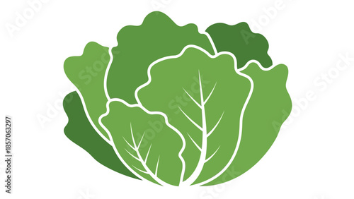 A Fresh Green Lettuce Icon representing healthy eating and organic produce