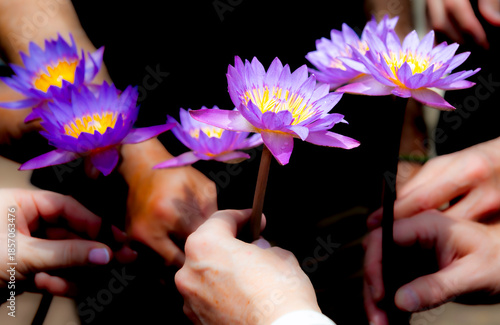 Ofrendas de flores en un templo budista de Anuradhapura en Sri Lanka