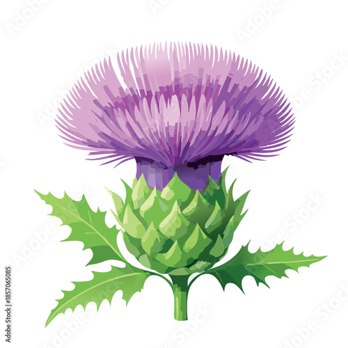 macro shot of milk thistle flower, vivid purple petals,