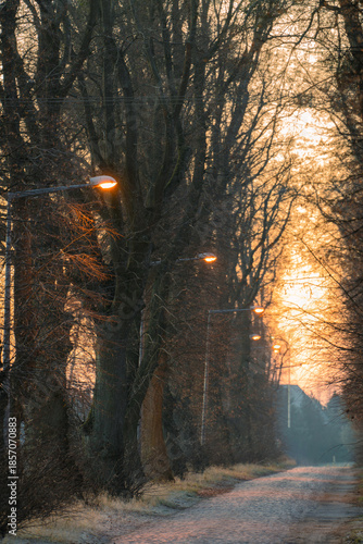 A very frosty but snowless sunrise in the park in Słębowo near Żnin, Pałuki region.