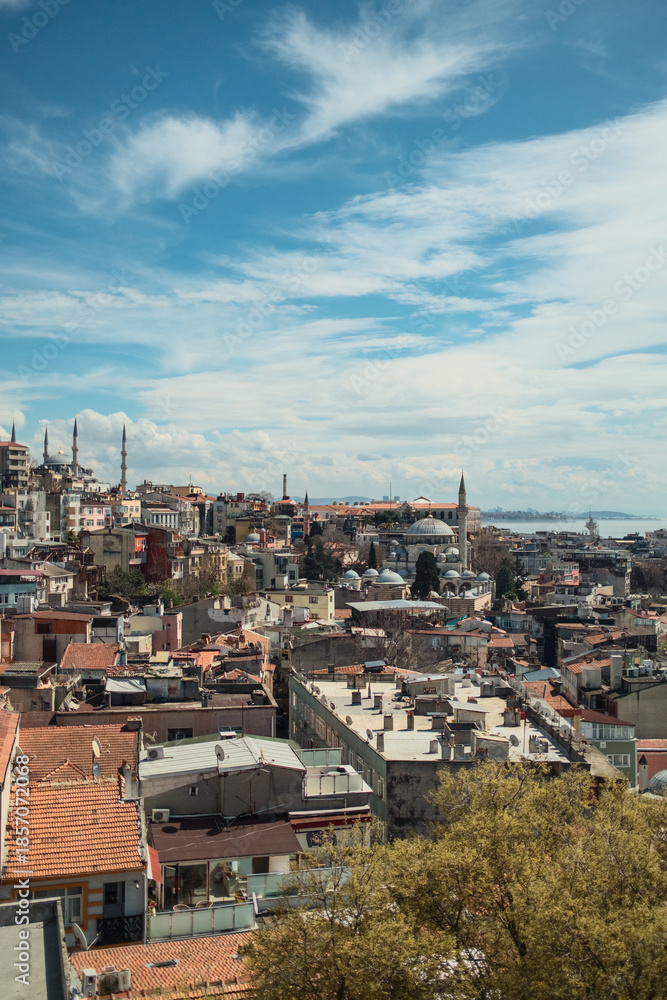 Fototapeta premium Morning With The Skyline Of Istanbul City 