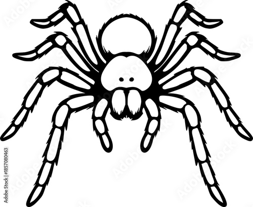 Tarantula spider outline vector black icon isolated illustration image decal design