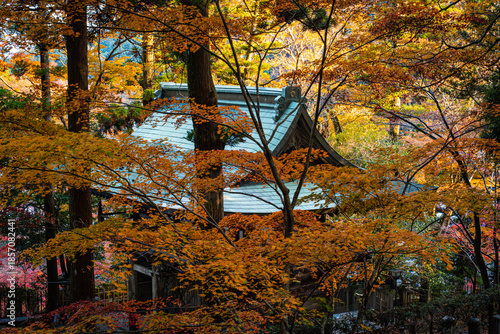 空きを感じる風景