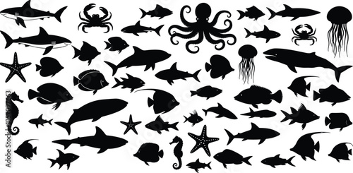 Diverse ocean creatures in black silhouette on white background