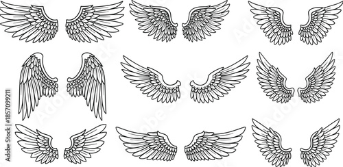 Various angel wing designs in black and white