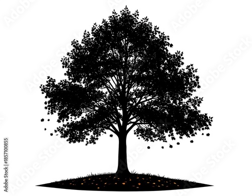 Silhouette of a Majestic Tree with Falling Leaves on a White Background