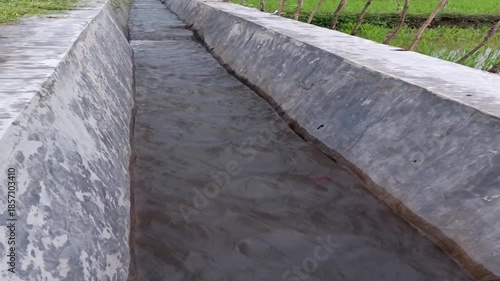 agricultural irrigation channels with smoothly flowing water to regulate the availability of rice field supplies
