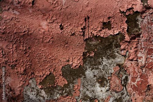 Wallpaper Mural Aged Urban Texture: Weathered Red Plaster Wall with Peeling Paint and Cracked Surface, Macro Shot Torontodigital.ca