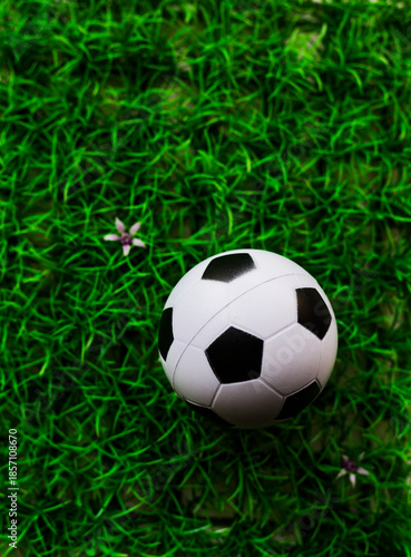 Wallpaper Mural Sports Equipment: Soccer Ball on Lush Green Grass with Small Flowers Visible, Outdoor Recreation Concept, Close-up Torontodigital.ca