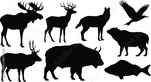 North American Wilderness Silhouette Collection, Icons of the Wild, Majestic Forest Fauna, Nature's Diversity, The Hunter's Horizon, silhouette, illustration, vector