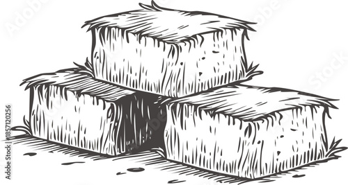 Vector style hand-drawn illustration of three stacked square hay bales, vintage engraving