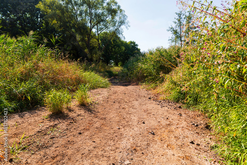 Ein ausgetrocknetes Flussbett im Sommer 