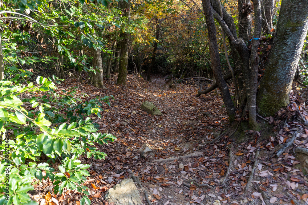 Fototapeta premium Kyoto Trail and surrounding area scenery
