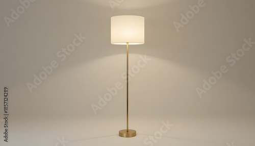 A tall brass floor lamp with a white shade standing in a minimalist room