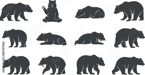 Bear silhouettes vector illustration set, wild brown bears walking sitting resting poses, black wildlife animal icons collection for nature, logo, education, branding design