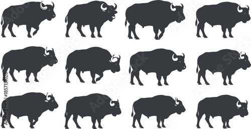 Bison silhouettes vector set, American buffalo animal collection in multiple poses for wildlife design, nature branding, illustrations, and conservation graphics
