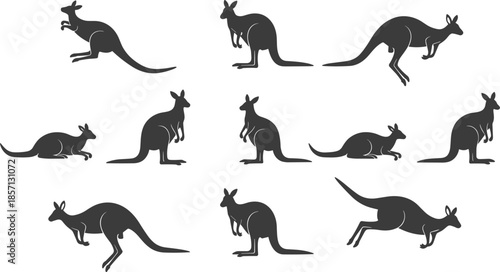 Black kangaroo silhouette poses vector illustration, australian marsupial animal set, jumping wildlife icons collection, minimalist flat design isolated on white background