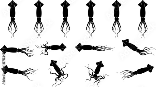 Black squid silhouettes set, marine animal vector collection, sea creature icons isolated on white background, cephalopod swimming poses for nautical graphic design elements.