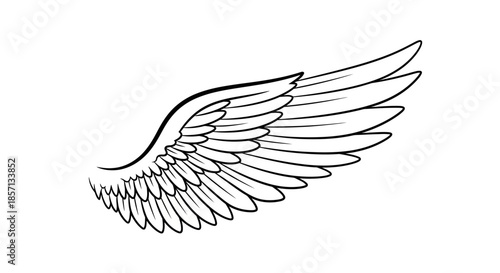 Elegant Line Art Illustration of a Single Angel Wing with Detailed Feather Design