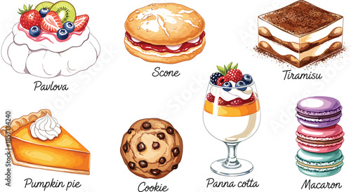 PrintLarge collection of international dessert vectors featuring pavlova scone tiramisu pumpkin pie chocolate chip cookie panna cotta and macarons for bakery cafe menu.