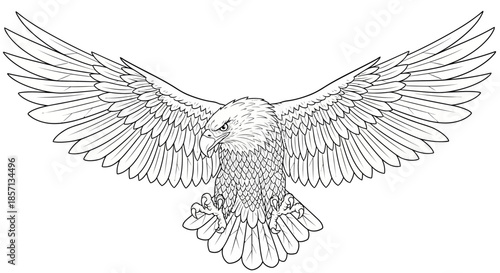 Intricate Black and White Illustration of a Fierce Flying Eagle with Outstretched Wings for