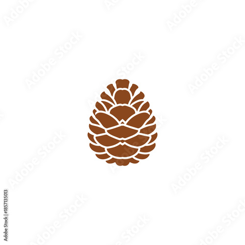 pine cones