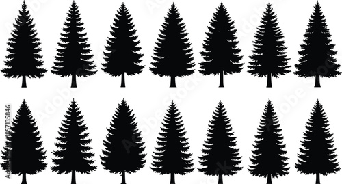 Black pine tree silhouettes set isolated on white background for forest woodland nature landscape and christmas holiday decorative design elements, (20 words)