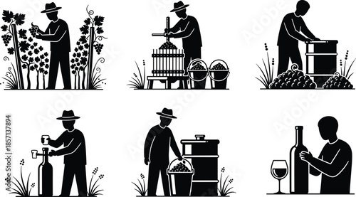 Black silhouettes of farmers harvesting grapes pressing wine and bottling at a vineyard for winemaking process and traditional winery industry