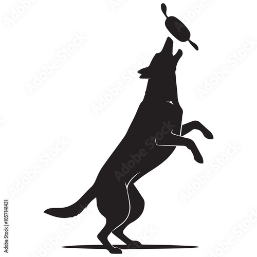 Energetic dog jumping to catch frisbee in mid-air playfully