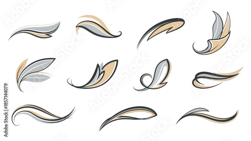 Elegant Abstract Swirls and Flourishes Collection for Design Elements.