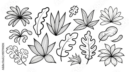 Hand Drawn Tropical Leaves Collection Outline Sketch Style.