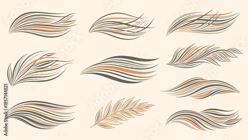 Set of abstract flowing lines and brush strokes.