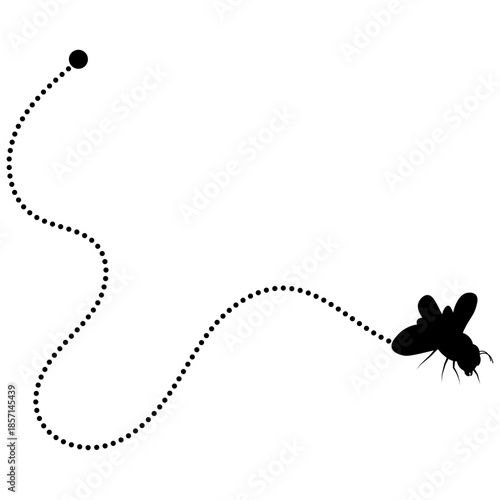 Flying Bee Trail
