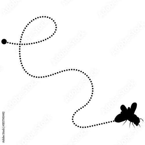 Flying Bee Trail