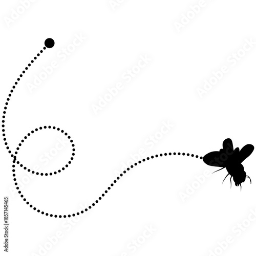Flying Bee Trail