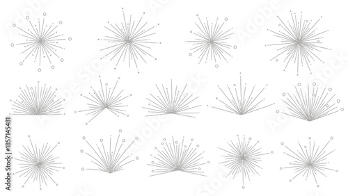 Set of realistic dandelion fluff seeds, detailed and delicate, ready to float away in the wind.