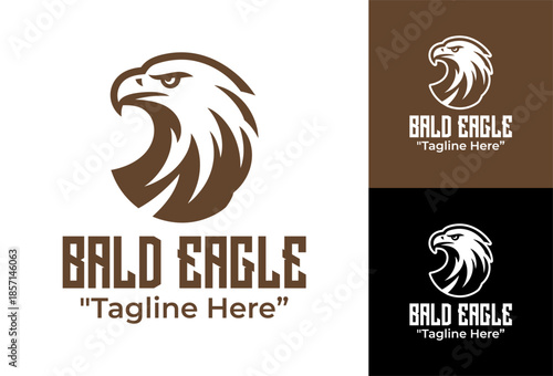 Bald Eagle Logo Modern Minimalist Animal Brand Mark