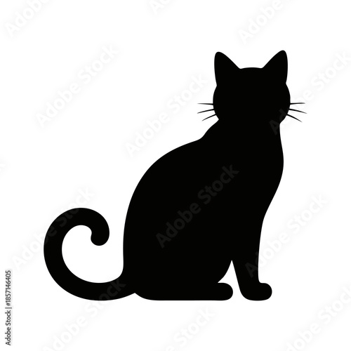 black and white cat