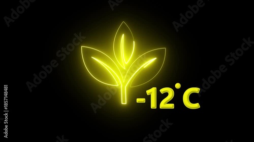 Protection of the environment Weather forecast related.Glowing neon digital temperature display showing minus 12°C onblack background, futuristic LED-style number,Researches minus 12degrees centigrade