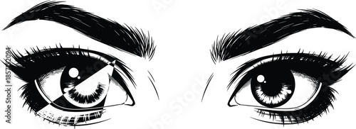 Human eyes, black and white, detailed illustration, expressive gaze, realistic drawing, eyebrow, eyelashes, iris texture, vector art, emotional, symmetry