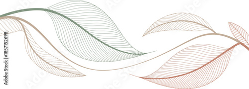 Minimalist line art leaves on white background