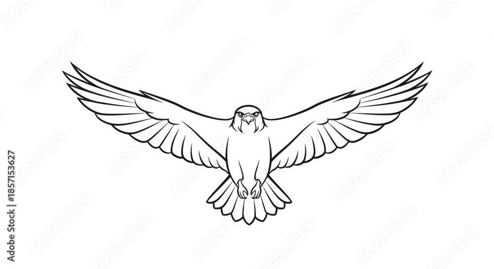 Fototapeta premium Minimalist Line Drawing of a Bird with Outstretched Wings in Flight